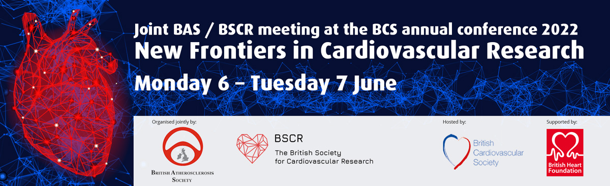 Joint BAS/BSCR meeting at the BCS annual conference 2022